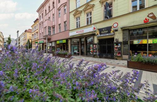 Bytom Apartment | Apartament w Centrum Bytomia by Noclegi Renters