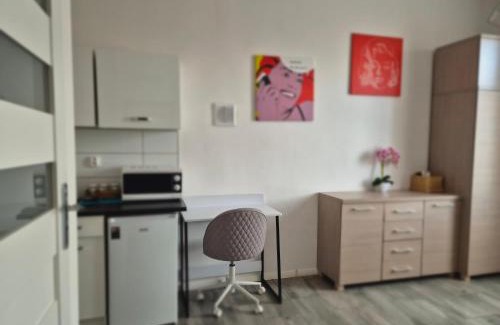Sulechow Apartment | Apartament w Centrum