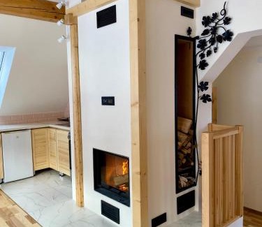 Kamienna Gora Apartment | Apartament W Dolinie Modrzewi