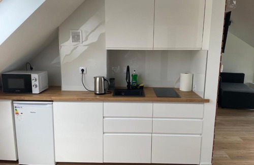 Mszana Dolna Apartment | Apartament w górach