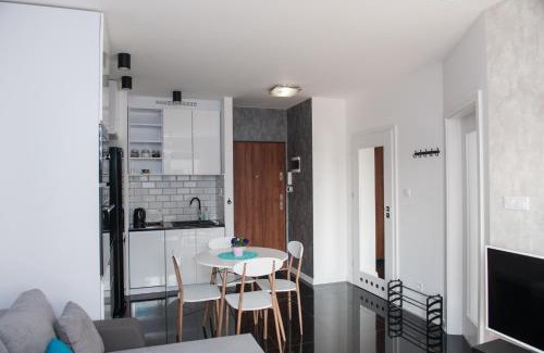 Stare Miasto District Apartment | Apartament Winogrady Hawelańska
