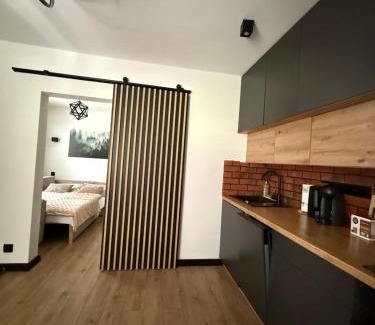 Czerniawa-Zdroj Apartment | Apartament z Balią