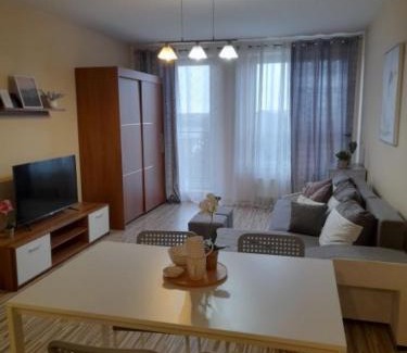 Piaseczno Apartment | Apartament z Garażem blisko Lotniska