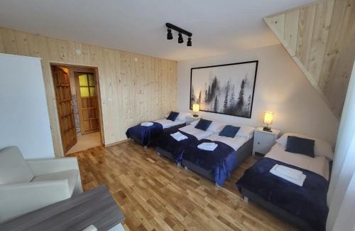 Gliczarow Gorny Apartment | Apartament z widokiem na panoramę Tatr "AppWidokowa9"
