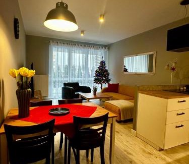 Bielsko-Biala Apartment | Apartament z widokiem na Szyndzielnię
