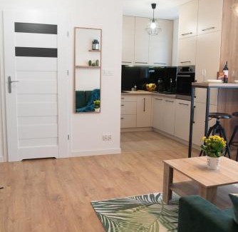 Kielce Apartment | Apartament Zielony - Okrzei (Garaż, Targi)