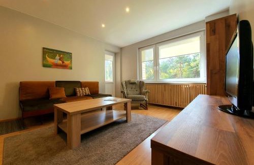 Druskininkai Apartment | Apartamentai ŠERMUKŠNIS