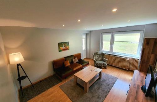 Druskininkai Apartment | Apartamentai ŠERMUKŠNIS