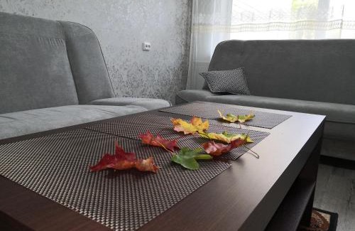 Birstonas Apartment | Apartamentai ,ASTRA'