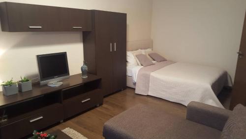 Siauliai Apartment | Apartamentai Dainų II