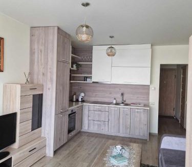 Klaipeda Apartment | Apartamentai SMILGA