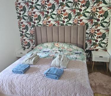 Klaipeda county Apartment | Apartamentai su privačiu baseinu Palangoje