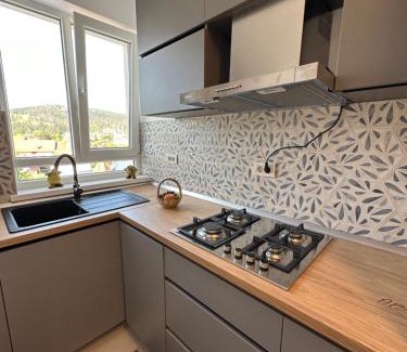 Gura Humorului Apartment | Apartamente Ariniș