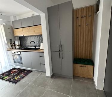 Gura Humorului Apartment | Apartamente Ariniș