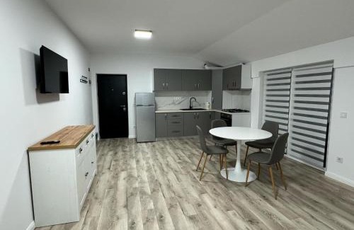Scheia Apartment | Apartamente noi de închiriat