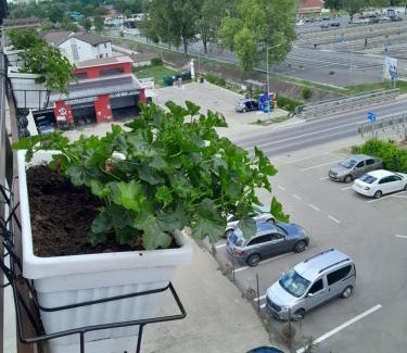Baile Unu Mai Apartment | Apartamente9 Aurelia baile felix