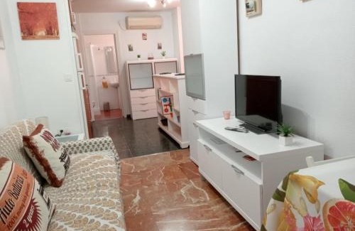 Centro Apartment | Apartamento Con Encanto 'Larios Studio'