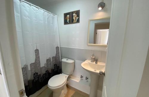 Curico Apartment | Apartamento doña Elisa