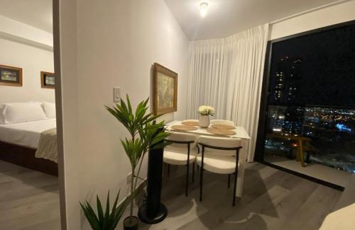 Barrio Escalante Apartment | Apartamento en Barrio Escalante
