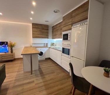 Torrelavega Apartment | Apartamento Miraldobra