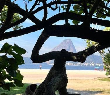 Flamengo Apartment | Apartamento no Flamengo