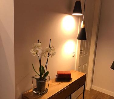 Aviles Apartment | Apartamento Palacio Valdés, centro Avilés, con parking