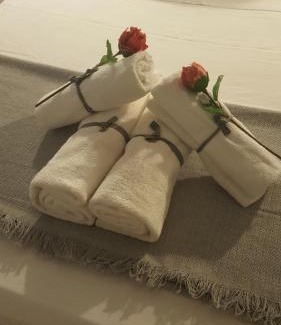 Ciudad Jardin Apartment | apartamento Serrano