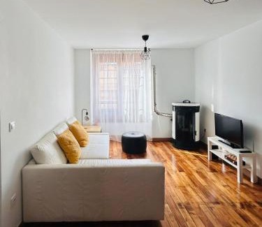 Cangas de Narcea Apartment | Apartamento Silvela Dos amigos