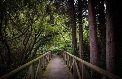 Cudillero Apartment | Apartamento Villa Carlota