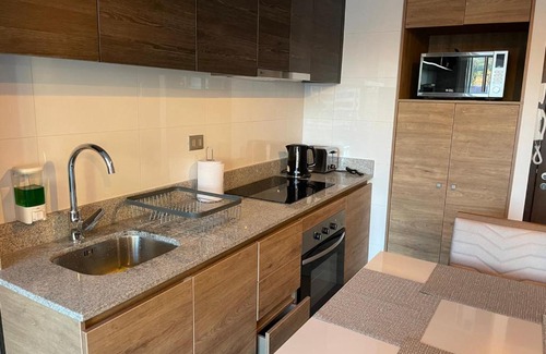 Concepcion Apartment | Apartamentos Concepción Centro