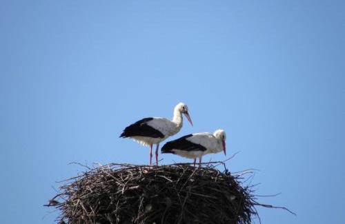 Santiago Apartment | Apartamentos La Machacona Plaza de Santiago