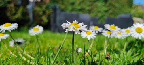 Nueva Apartment | Apartamentos Les Texuques II