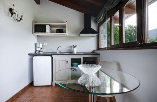 Sarvise Apartment | Apartamentos Viña Olivan