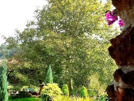 Tornon Apartment | Apartamentos Villar