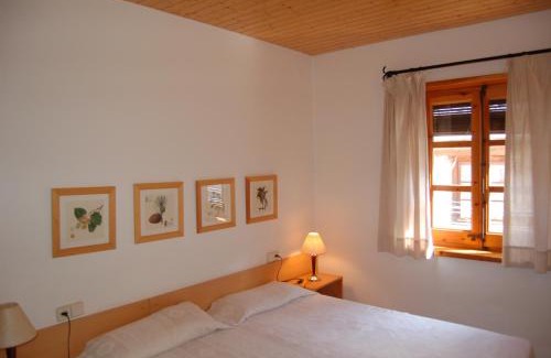 Areu Apartment | Apartaments Vall Ferrera