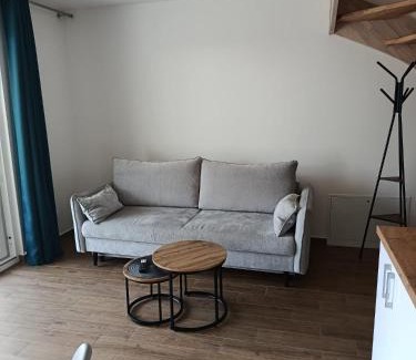 Pustkowo Apartment | Apartamenty Allan