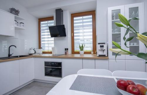 Czestochowa Apartment | Apartamenty AP 11