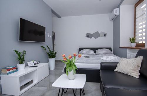 Czestochowa Apartment | Apartamenty AP 12