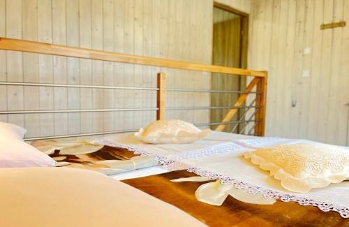 Brzezinka Apartment | Apartamenty Artur