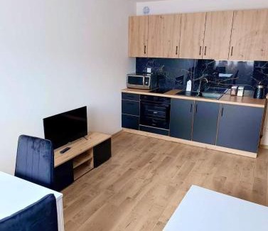 Checiny Apartment | Apartamenty Chęciny