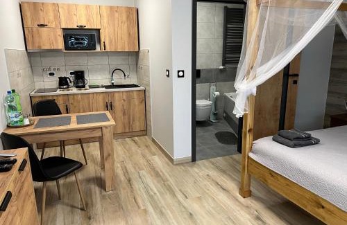 Kudowa Zdroj Apartment | APARTAMENTY Kudowa Zdrój - Słone