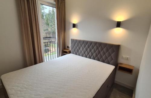 Staniszow Apartment | Apartamenty Nad Potokiem koło Karpacza