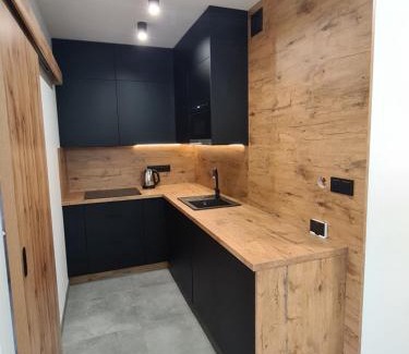Staniszow Apartment | Apartamenty Nad Potokiem koło Karpacza