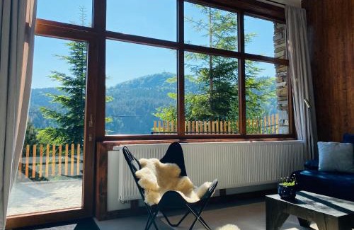 Piwniczna-Zdroj Apartment | Apartamenty Piwniczna