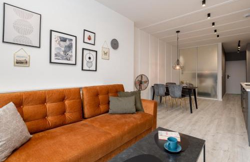 Bielsko-Biala Apartment | Apartamenty Prestige Centrum 28