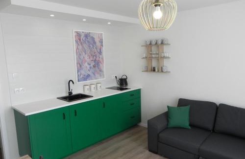 West Pomeranian Voivodeship Apartment | Apartamenty Starówka