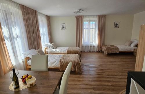 Dzialdowo Apartment | Apartamenty Tadeusza Kościuszki 1 Jaspis