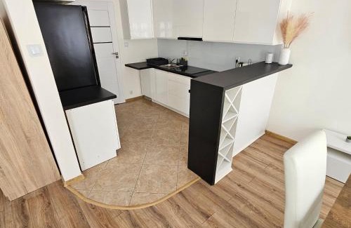 Dzialdowo Apartment | Apartamenty Tadeusza Kościuszki 1 Jaspis