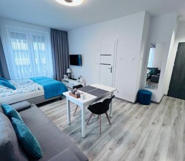Gorzow Wielkopolski Apartment | Apartamenty Walczaka 26 MIEJSCE PARKINGOWE