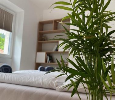 Duszniki Zdroj Apartment | APARTAMENTY ZDROJOWA 9